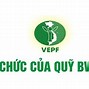 Bảo Vệ Môi Trường Là Gì Cho Ví Dụ