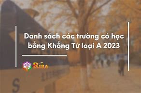 Danh Sách Các Trường Có Học Bổng Cis 2023