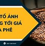 Giá Cà Phê Tại Lâm Đồng Ngày