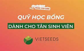 Học Bổng Vietseeds 2021 Là Gì Học Phí