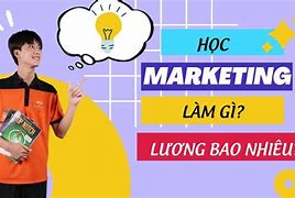 Học Marketing Ra Làm Những Gì