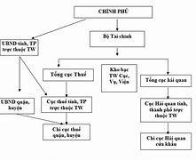 Mô Hình Quản Lý Thuế Ở Việt Nam