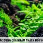 Nham Thạch Trong Tiếng Anh Là Gì