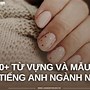 Tiếng Anh Ngành Nail Móng Bột