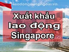 Xkld Singapore 2022 Là Gì Tiếng Anh Là Gì Wikipedia